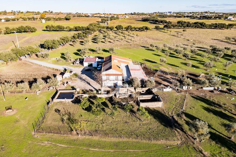 Quinta T7 para Venda em Bacelo e Senhora da Saúde Foto 44