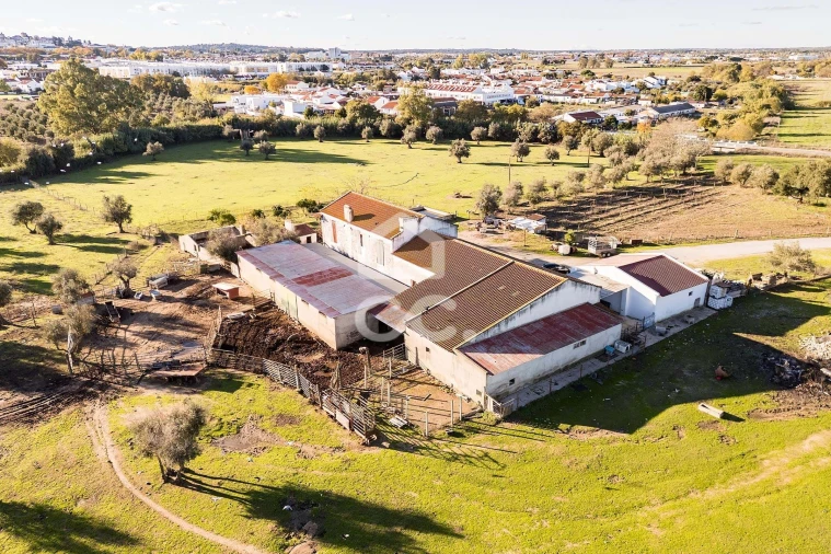 Quinta T7 para Venda em Bacelo e Senhora da Saúde Foto 45