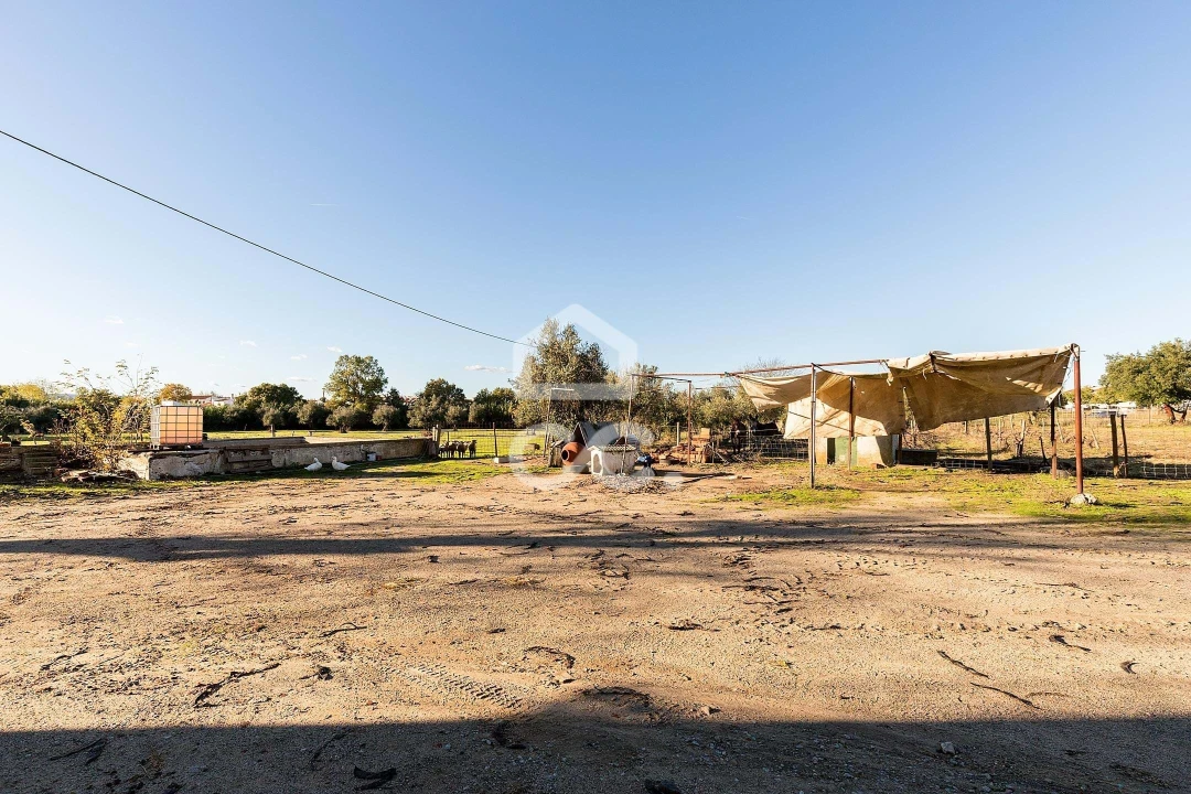 Quinta T7 para Venda em Bacelo e Senhora da Saúde Foto 40