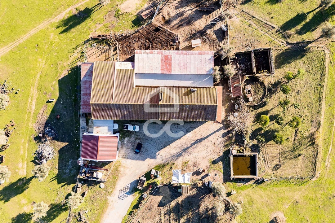 Quinta T7 para Venda em Bacelo e Senhora da Saúde Foto 47