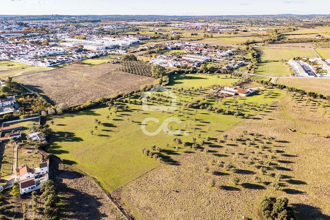 Quinta T7 para Venda em Bacelo e Senhora da Saúde Foto 58