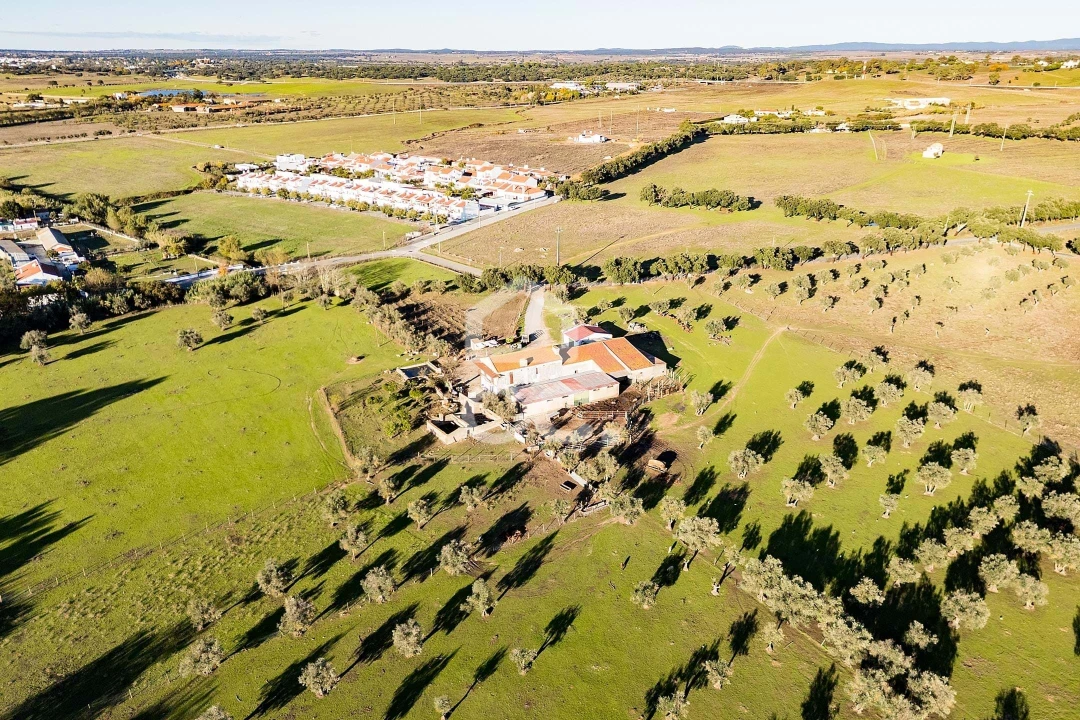 Quinta T7 para Venda em Bacelo e Senhora da Saúde Foto 51