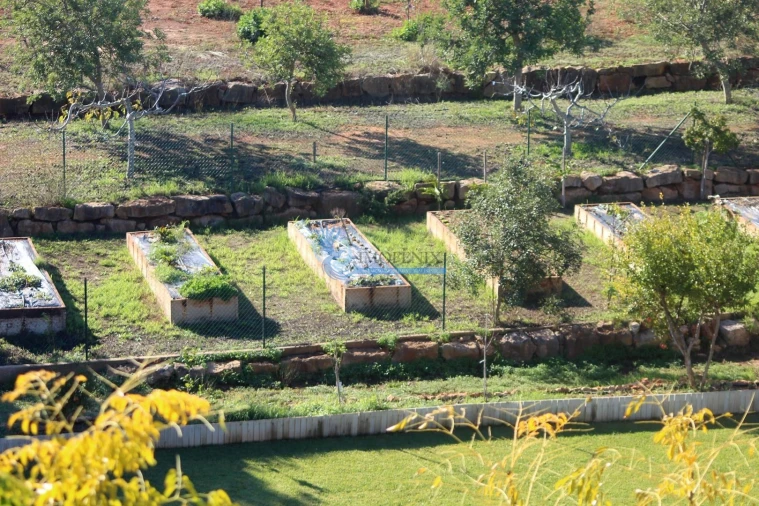 Moradia T3 para Venda em Guia Foto 42