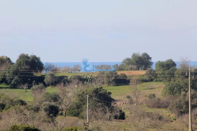 Moradia T3 para Venda em Guia Foto 40