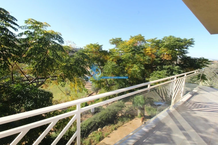 Moradia T3 para Venda em Guia Foto 30