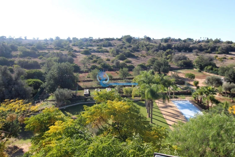 Moradia T3 para Venda em Guia Foto 39