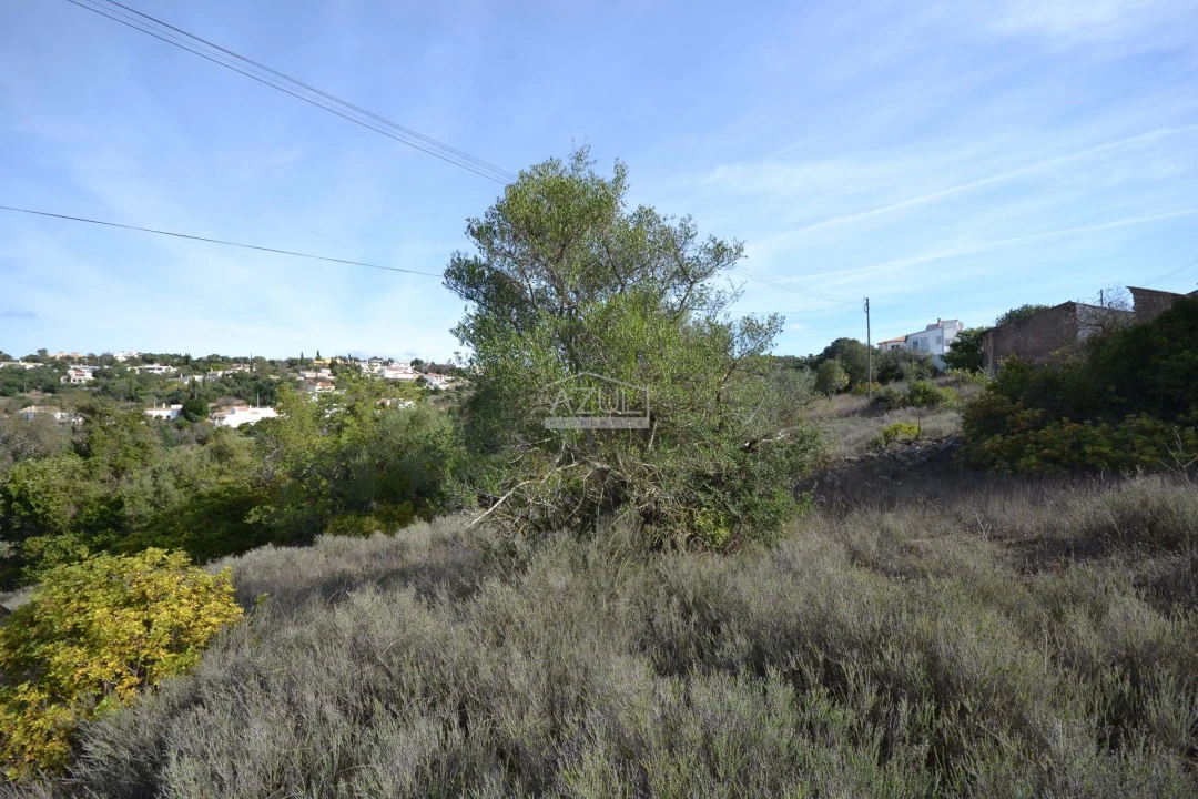 Terreno para Venda em Boliqueime Foto 11