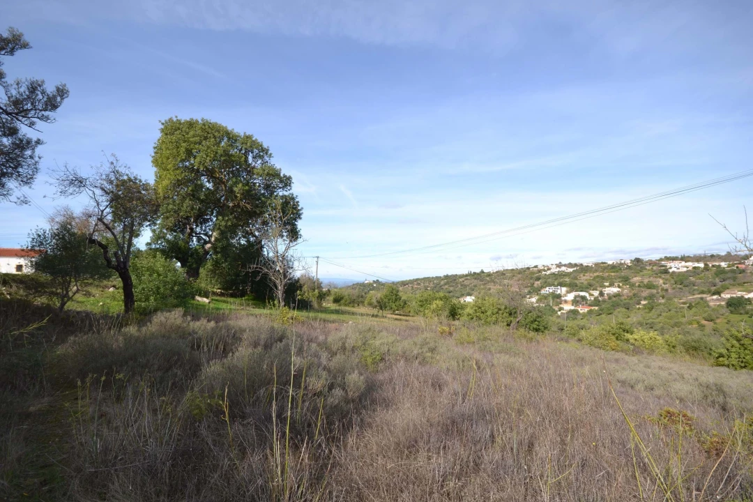 Terreno para Venda em Boliqueime Foto 8