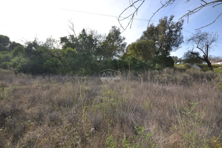 Terreno para Venda em Boliqueime Foto 13