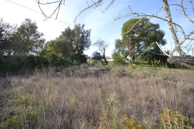 Terreno para Venda em Boliqueime Foto 14