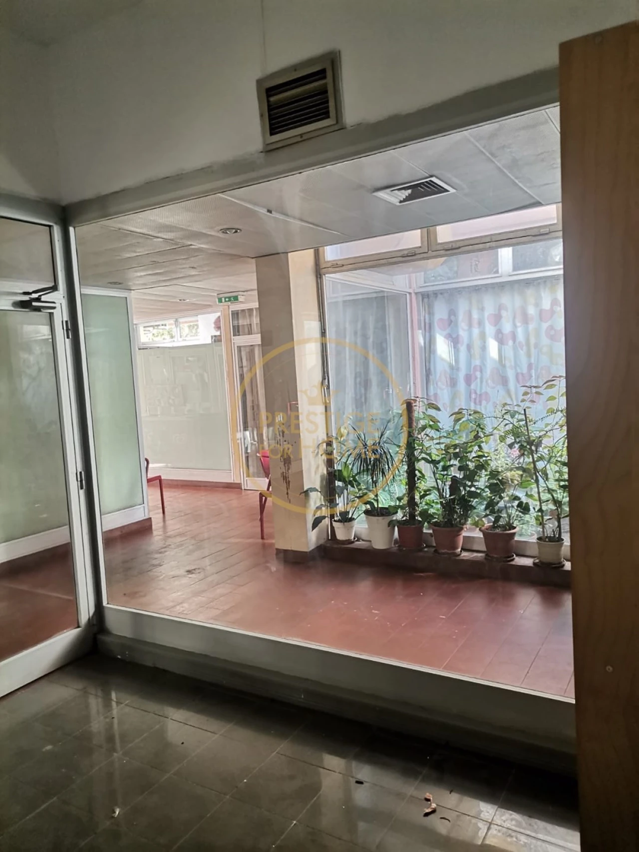 Negócio para Venda em Loule (São Sebastião) Foto 14