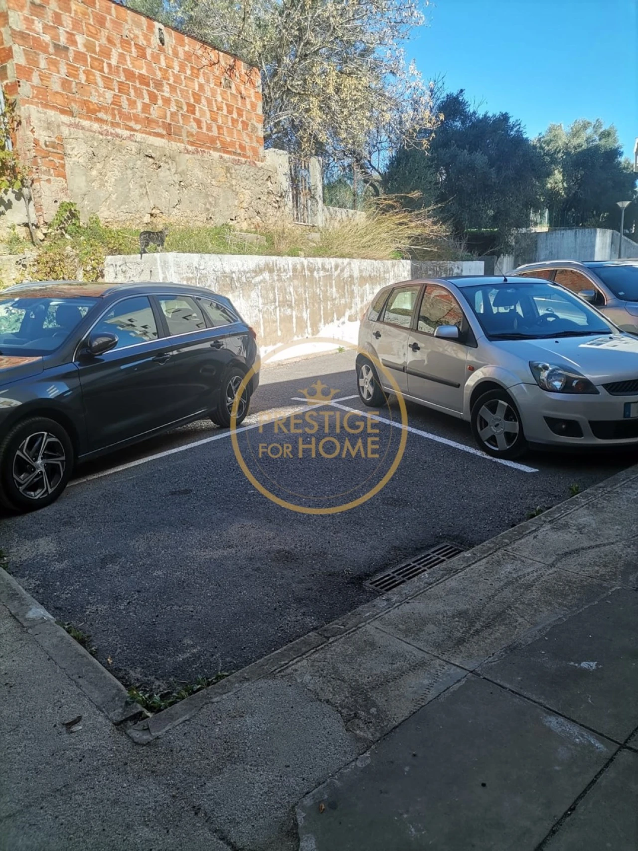 Negócio para Venda em Loule (São Sebastião) Foto 23