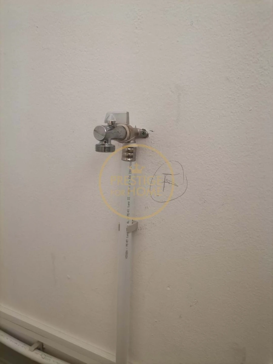 Negócio para Venda em Loule (São Sebastião) Foto 15