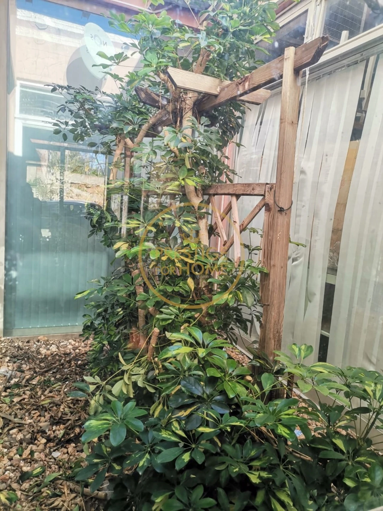 Negócio para Venda em Loule (São Sebastião) Foto 5