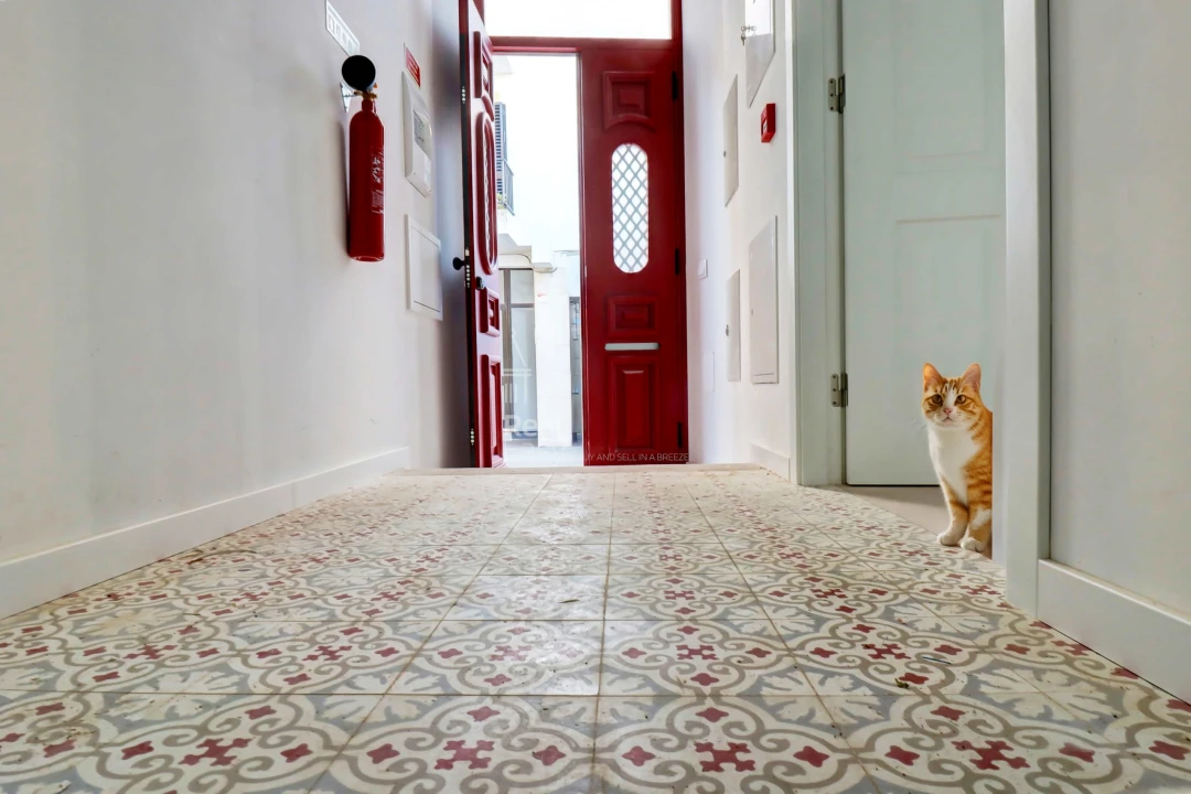 Moradia T2 para Venda em Olhão Foto 4