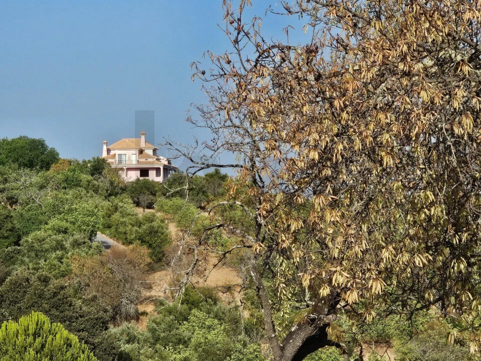 Terreno para Venda em Loule (São Clemente) Foto 1