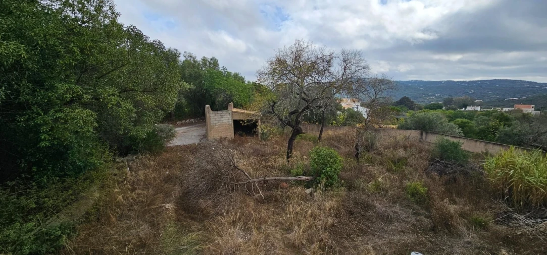 Terreno para Venda em Loule (São Clemente) Foto 8