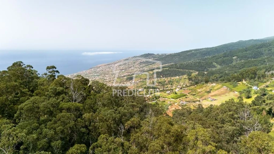 Moradia T2 para Venda em Arco da Calheta Foto 3