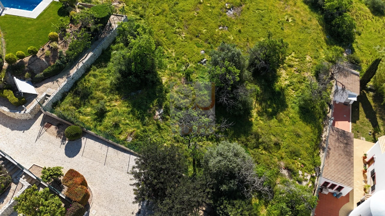 Terreno para Venda em Silves Foto 4