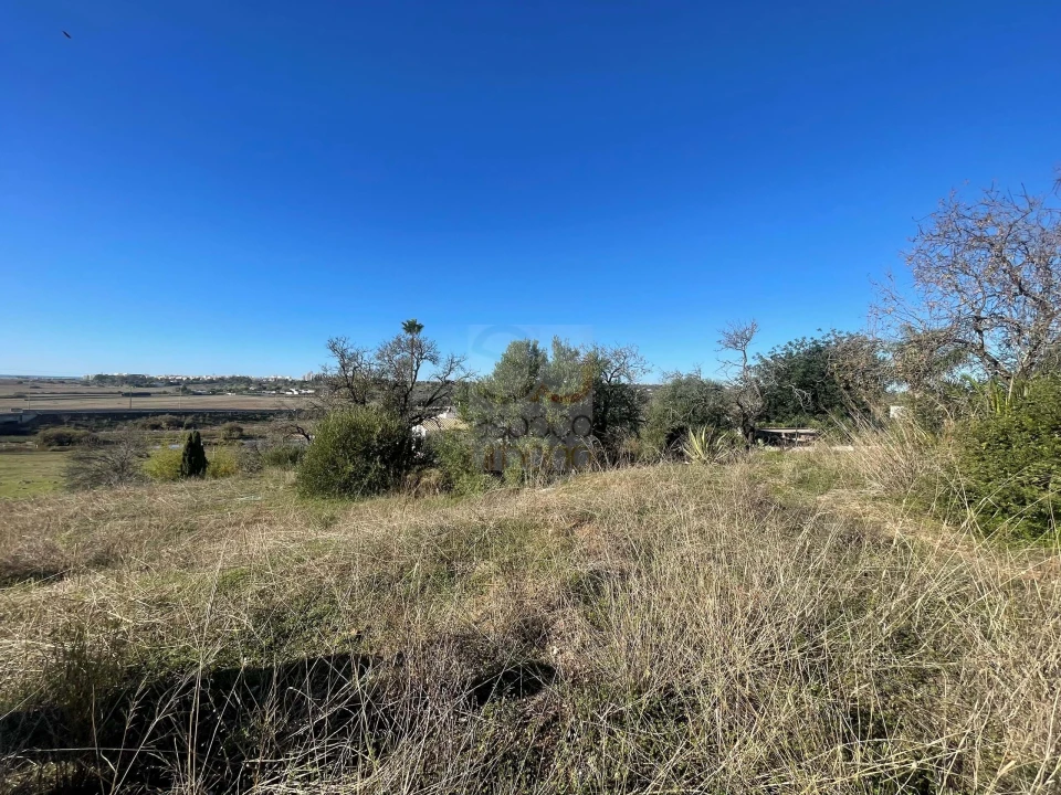 Terreno para Venda em São Silvestre Foto 18