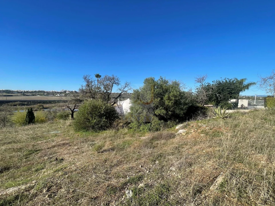 Terreno para Venda em São Silvestre Foto 17