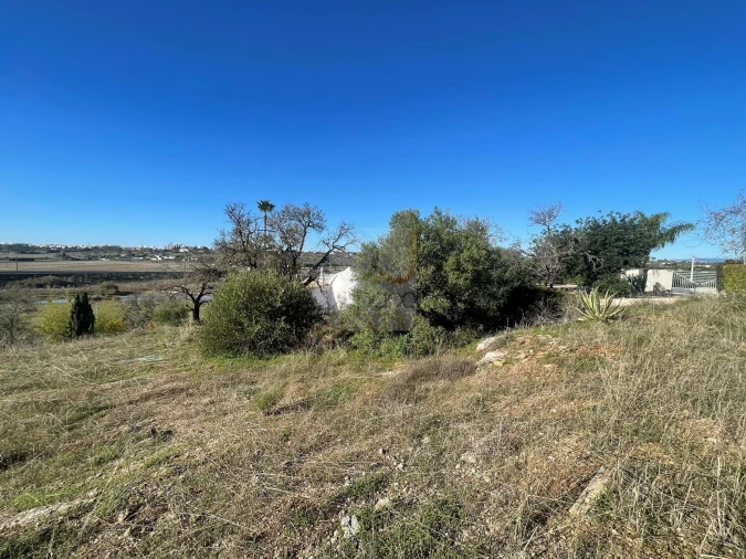 Terreno para Venda em São Silvestre Foto 19