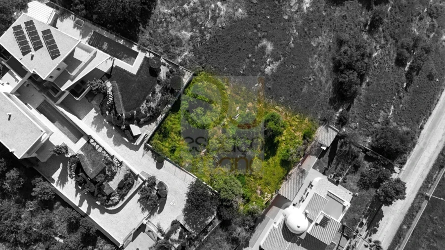 Terreno para Venda em Silves Foto 3