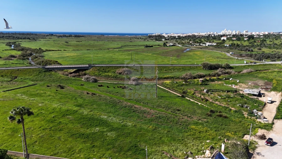 Terreno para Venda em Silves Foto 5