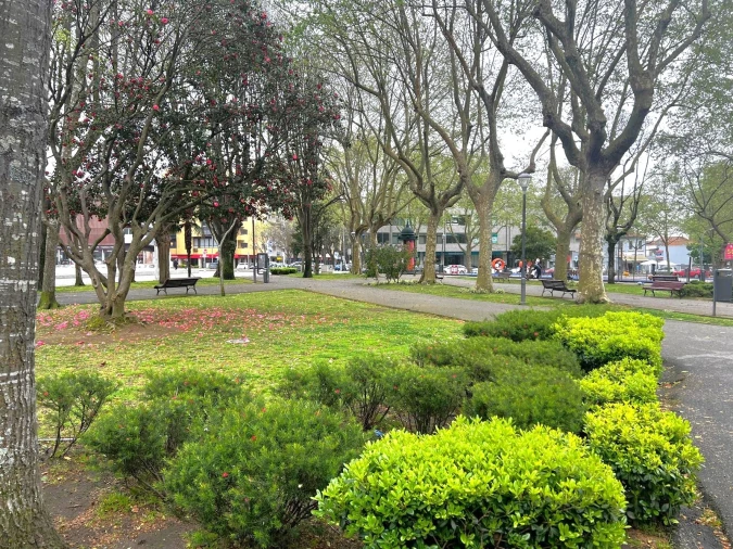 Apartamento T1 para Arrendamento em Matosinhos e Leça da Palmeira Foto 21