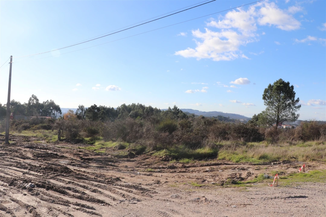 Terreno para Venda em Lustosa e Barrosas (Santo Estêvão) Foto 14