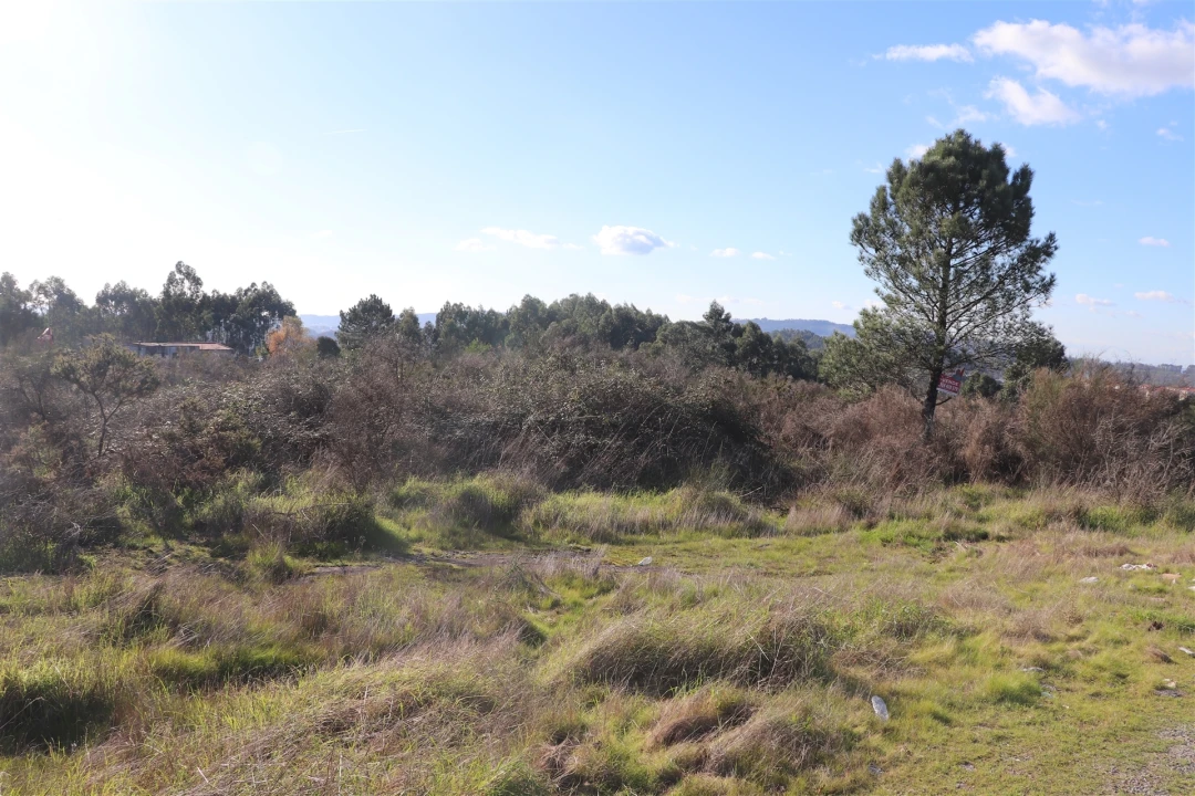 Terreno para Venda em Lustosa e Barrosas (Santo Estêvão) Foto 2