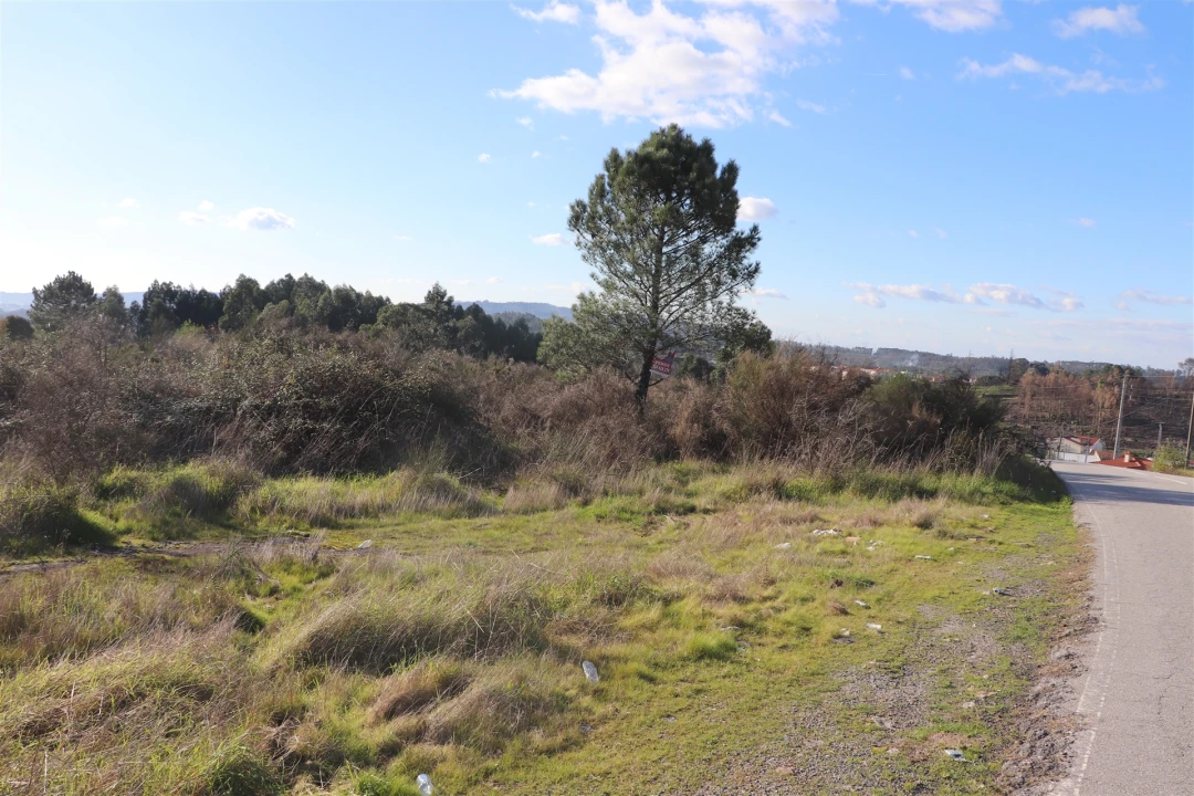 Terreno para Venda em Lustosa e Barrosas (Santo Estêvão) Foto 12