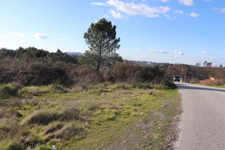 Terreno para Venda em Lustosa e Barrosas (Santo Estêvão) Foto 3