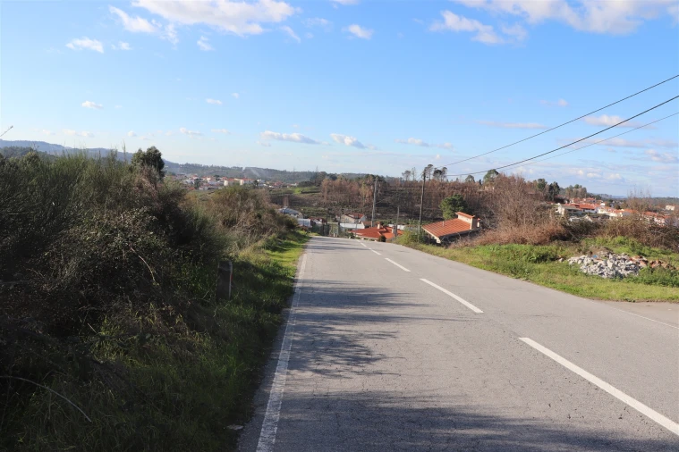 Terreno para Venda em Lustosa e Barrosas (Santo Estêvão) Foto 7