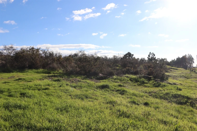 Terreno para Venda em Lustosa e Barrosas (Santo Estêvão) Foto 10