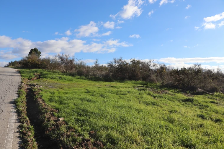 Terreno para Venda em Lustosa e Barrosas (Santo Estêvão) Foto 11