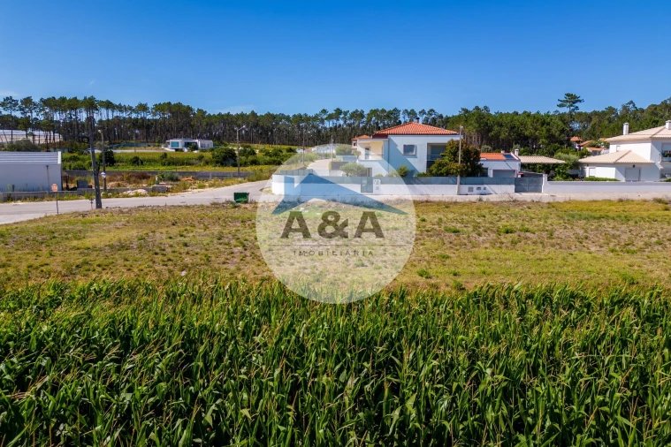 Terreno para Venda em Souto da Carpalhosa e Ortigosa Foto 19