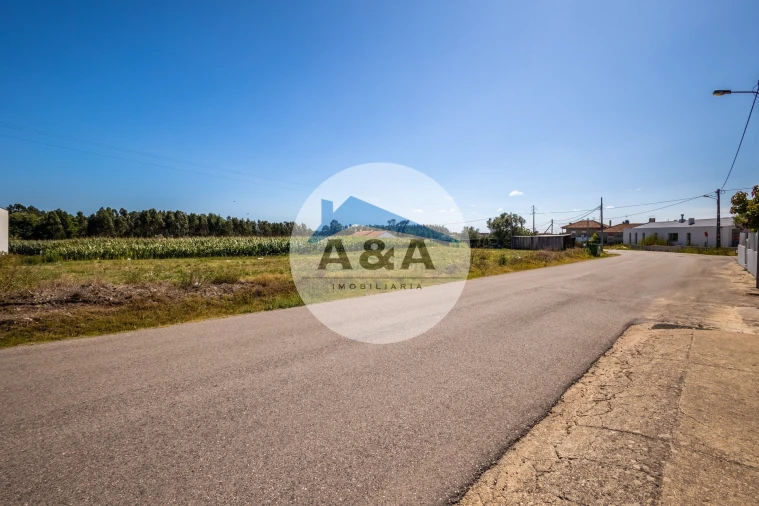 Terreno para Venda em Souto da Carpalhosa e Ortigosa Foto 6