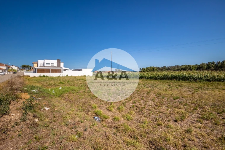 Terreno para Venda em Souto da Carpalhosa e Ortigosa Foto 7
