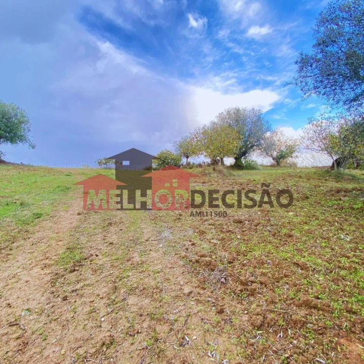 Terreno para Venda em Brogueira, Parceiros de Igreja e Alcorochel Foto 5