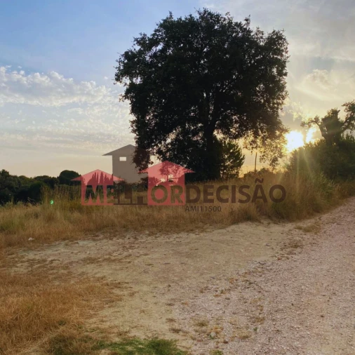 Terreno para Venda em Brogueira, Parceiros de Igreja e Alcorochel Foto 2