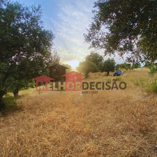 Terreno para Venda em Brogueira, Parceiros de Igreja e Alcorochel Foto 4