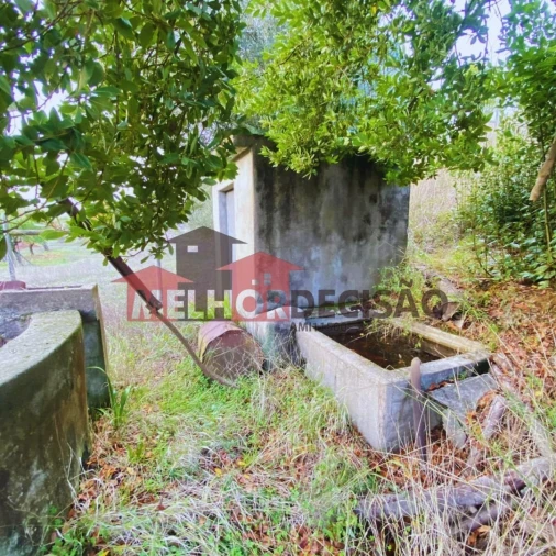 Terreno para Venda em Brogueira, Parceiros de Igreja e Alcorochel Foto 9