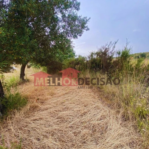 Terreno para Venda em Brogueira, Parceiros de Igreja e Alcorochel Foto 3