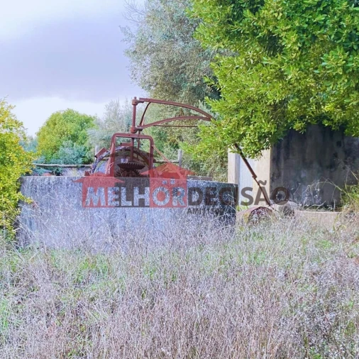Terreno para Venda em Brogueira, Parceiros de Igreja e Alcorochel Foto 10