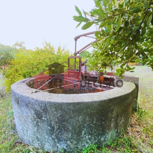 Terreno para Venda em Brogueira, Parceiros de Igreja e Alcorochel Foto 11