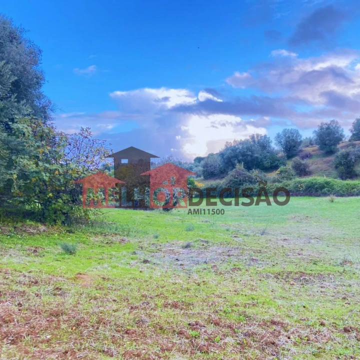 Terreno para Venda em Brogueira, Parceiros de Igreja e Alcorochel Foto 8