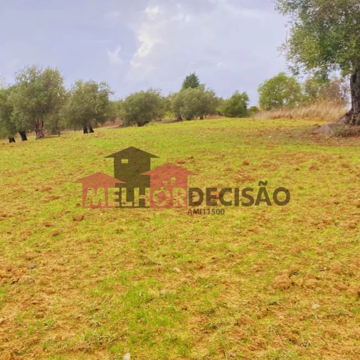 Terreno para Venda em Brogueira, Parceiros de Igreja e Alcorochel Foto 2