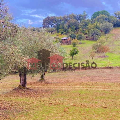 Terreno para Venda em Brogueira, Parceiros de Igreja e Alcorochel Foto 1