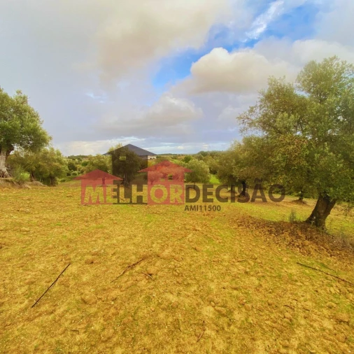 Terreno para Venda em Brogueira, Parceiros de Igreja e Alcorochel Foto 3
